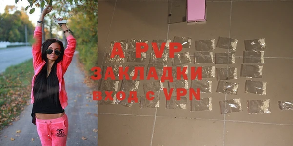 индика Лихославль