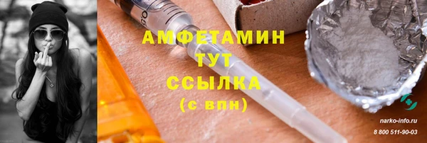 индика Лихославль