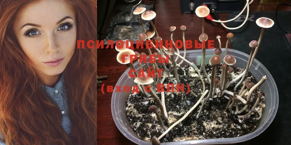 прущая мука Липки