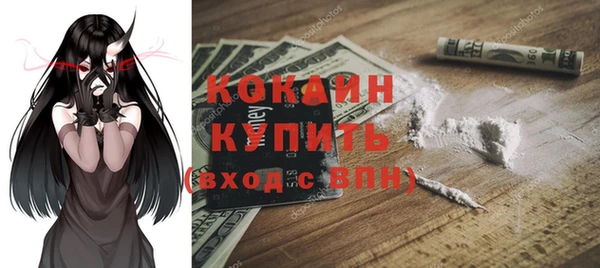 индика Лихославль