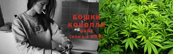 индика Лихославль