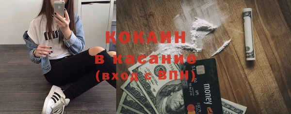 индика Лихославль