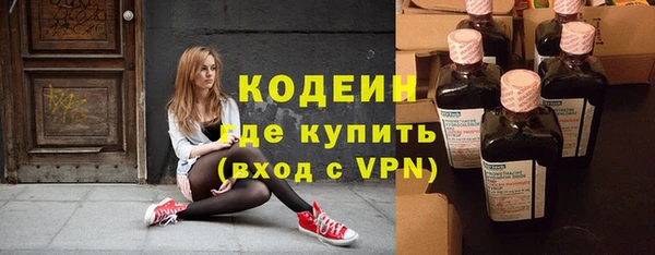 индика Лихославль