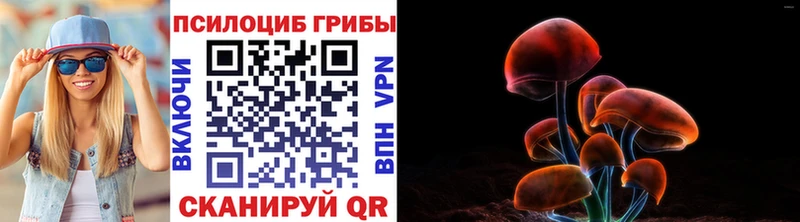 kraken ССЫЛКА  Иноземцево  Псилоцибиновые грибы GOLDEN TEACHER 
